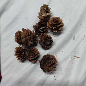 Natural Brown Pine Cone Mixed Media Accents - Artisan Home Art Artificial
